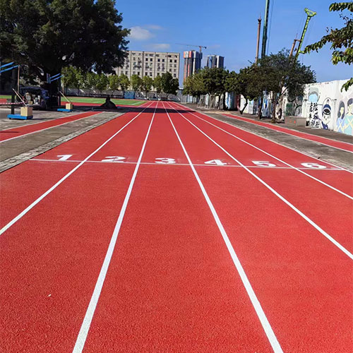 广州蟠龙小学塑胶跑道